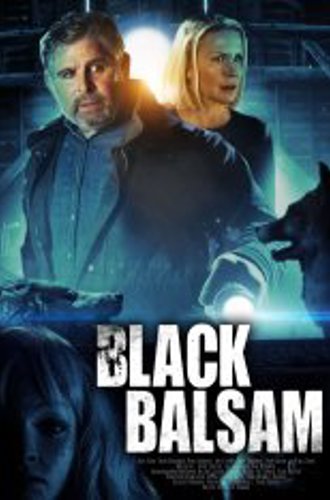 Дом на Черной горе / Black Balsam (2022) WEB-DLRip | OKKO