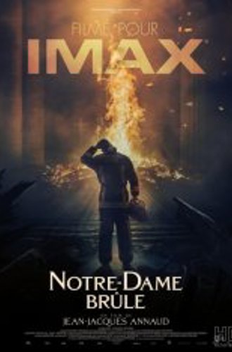 Нотр-Дам в огне / Notre Dame on Fire / Notre-Dame brule (2022) WEB-DLRip