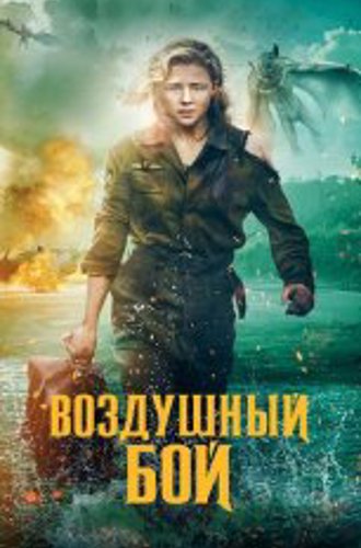 Воздушный бой / Тень в облаках / Shadow in the Cloud (2020) BDRip 1080p | iTunes, HDRezka Studio