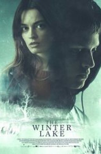 Зимнее озеро / Холодное озеро / The Winter Lake (2020) WEB-DLRip