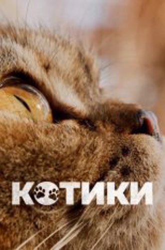 Котики / Cat Daddies (2022) WEB-DL 1080p | Дубляж