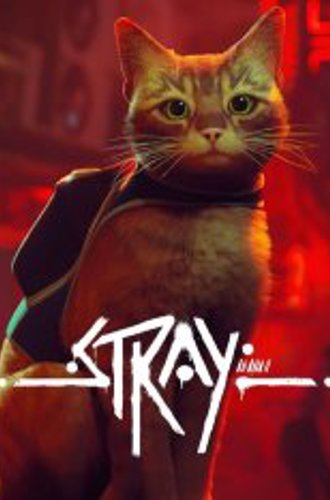 Stray (2022)