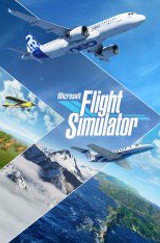 Microsoft Flight Simulator