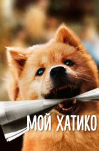 Мой Хатико / Hachiko / Zhong quan ba gong (2023) WEB-DL 1080p | Дубляж