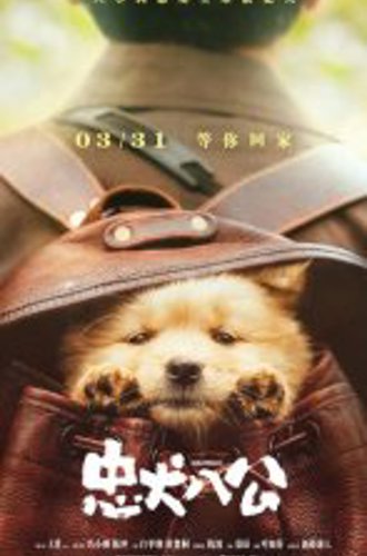 Хатико / Hachiko / Zhong quan ba gong (2023) WEB-DLRip