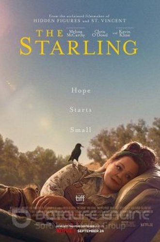 Скворец / The Starling (2021) WEB-DLRip-AVC | Netflix