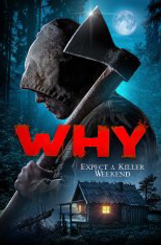 Почему? / За что? / Why? (2019) HDRip-AVC