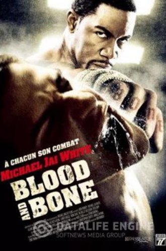 Кровь и кость / Blood and Bone (2009) BDRip 720p by msltel | A, L2