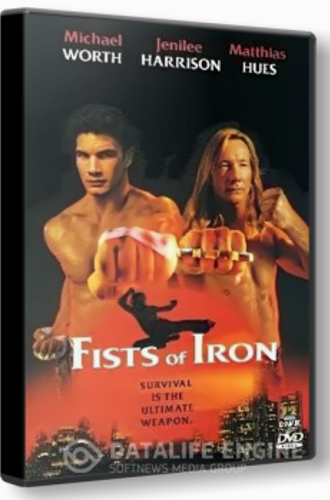 Железные кулаки / Кастет / Fists of Iron (1995) DVDRip от SergV