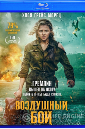 Воздушный бой / Shadow in the Cloud (2020) BDRip-AVC от ExKinoRay | D, P | iTunes