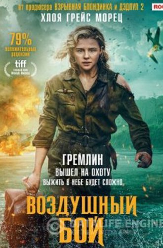 Воздушный бой / Shadow in the Cloud (2020) BDRemux 1080p от селезень | D, P | iTunes