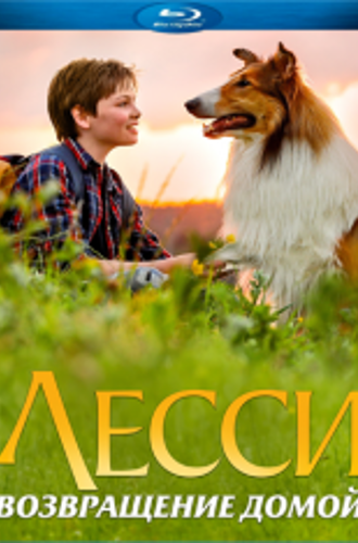 Лесси. Возвращение домой / Lassie - Eine abenteuerliche Reise (2020) BDRip | iTunes