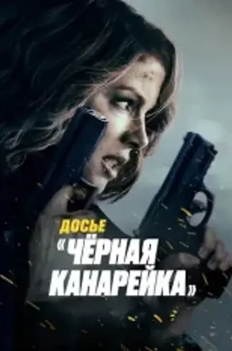 Досье «Чёрная канарейка» / Canary Black (2024) WEB-DL 1080p | Звук с TS