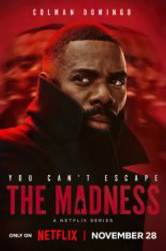 Безумие / The Madness [Полный сезон] (2024) WEB-DL 1080p | Дубляж