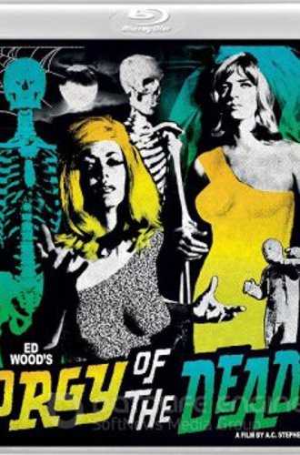 Оргия мертвецов / Orgy of the Dead (1965) BDRemux 1080p | L1