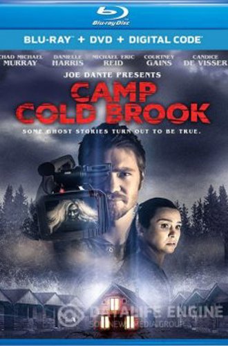Лагерь «Холодный Ручей» / Camp Cold Brook (2018) HDRip-AVC | P2