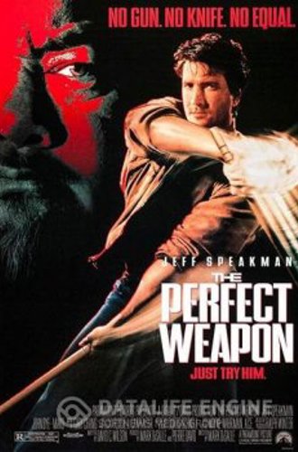 Совершенное оружие / The Perfect Weapon (1991) BDRip 1080p | P, A