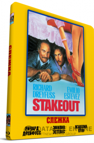 Слежка / Stakeout (1987) WEB-DL 1080p | D, P, P2, A