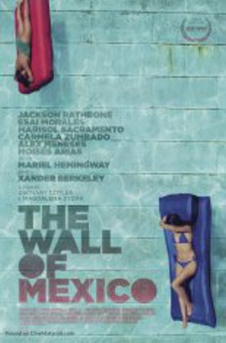 Мексиканская стена / The Wall of Mexico (2019) WEB-DLRip