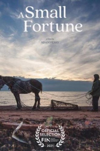 Небольшое состояние / A Small Fortune (2021)