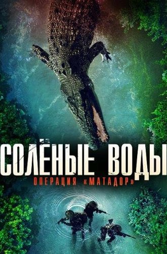 Солёные воды: Операция «Матадор» / Битва за остров Рамри / Saltwater: The Battle for Ramree Island (2021)