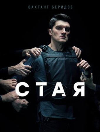 Стая