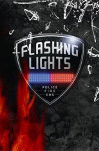 Flashing Lights: Police, Firefighting, Emergency Services Simulator (2023)