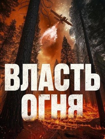 Власть